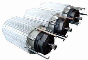 electric hoist motor